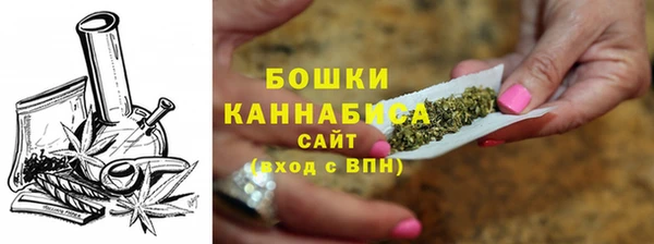 прущие грибы Магадан