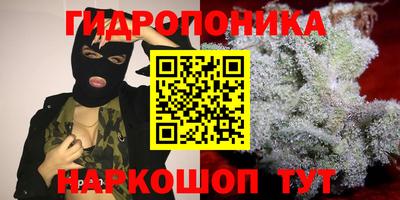 мет Дубна
