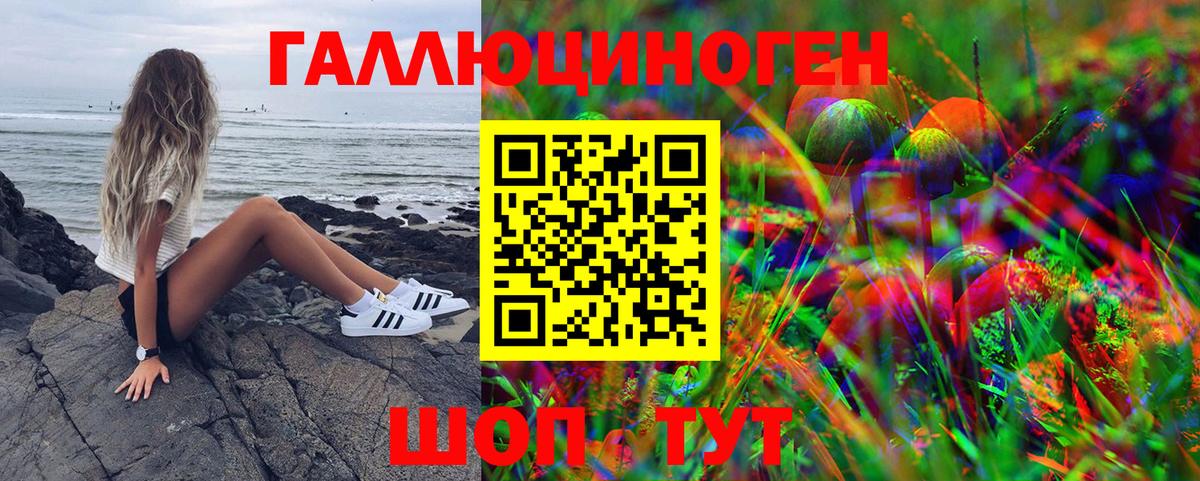 Галлюциногенные грибы Cubensis Кинель