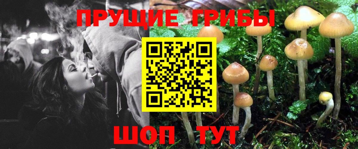 Галлюциногенные грибы Psilocybe  Вход с VPN  как найти закладки  Кинель 