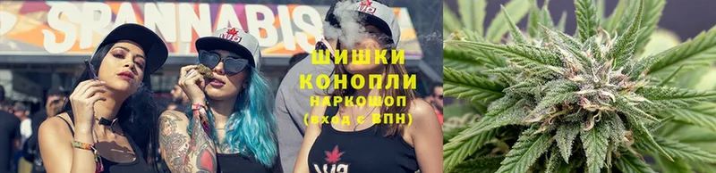 MEGA ссылки  shop формула  Шишки марихуана SATIVA & INDICA  сколько стоит  Кинель 